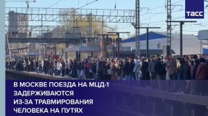 В Москве поезда на МЦД-1 задерживаются из-за травмирования человека на путях