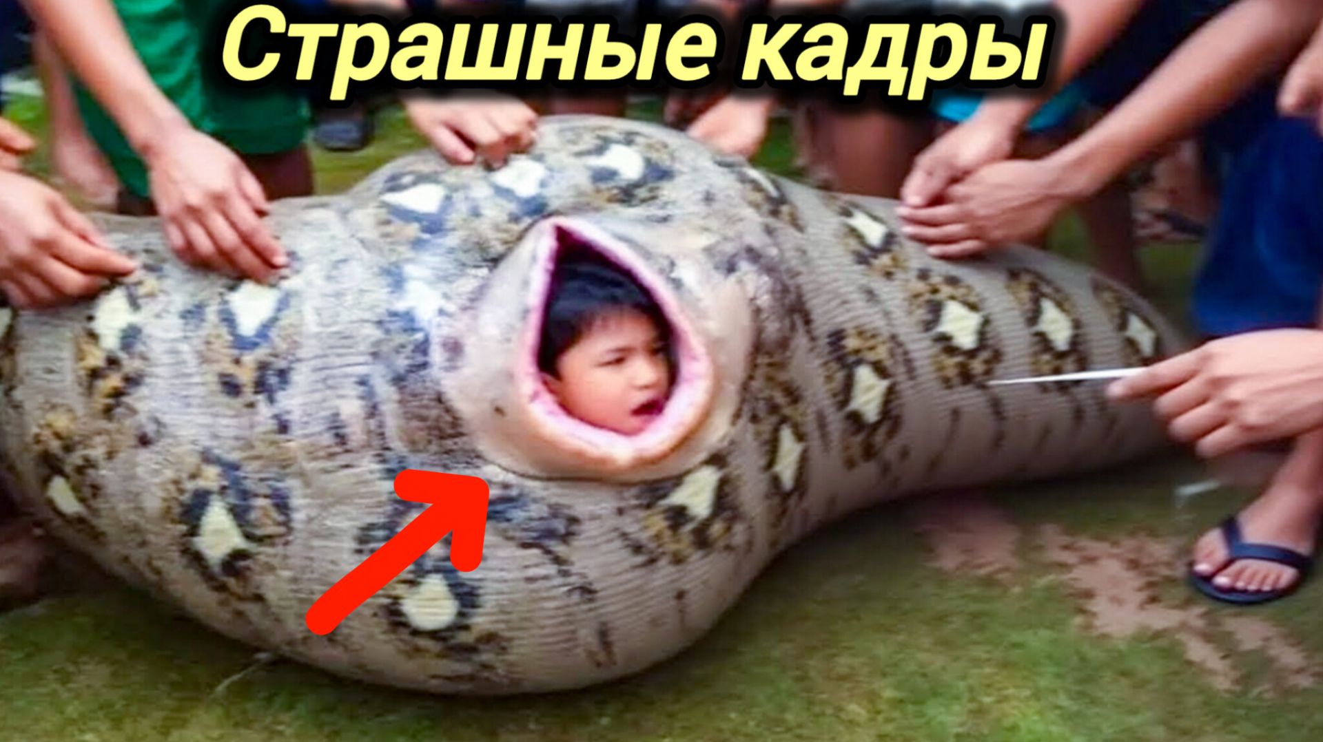 22-04-2026. ЧП❗КАТАКЛИЗМЫ❗КАТАСТРОФЫ‼️ ПРОИСШЕСТВИЯ ЗА ДЕНЬ. новости дня. СЕГОДНЯ