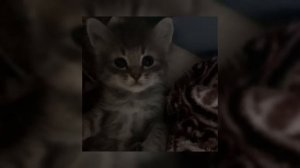 плейлист вайбовых треков speed up