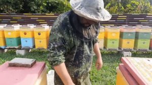 Августовские Работы с Пчёлами!!!