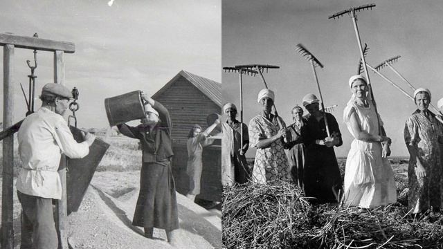 Как жили в советском колхозе: паспорта, трудодни и фанерный город