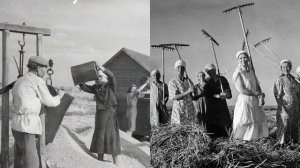 Как жили в советском колхозе: паспорта, трудодни и фанерный город