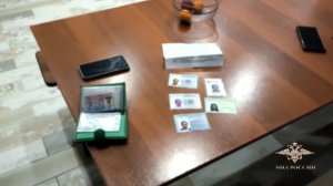 В Санкт-Петербурге в суд направлено дело в отношении организатора нелегального ввоза нянь из Азии