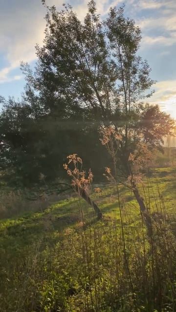 2026. АБХАЗИЯ. Участок в Новом АФОНЕ с видом на МОРЕ. НЕДВИЖИМОСТЬ в Абхазии