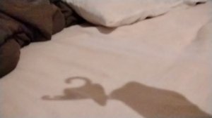 Монстриксы 1часть