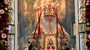 Птички божьи...