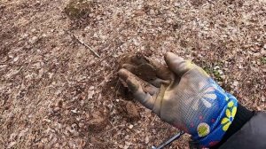 Воскресный коп после тренировки!