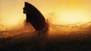 !_ym_agency_alt_v1_20_1 (1)