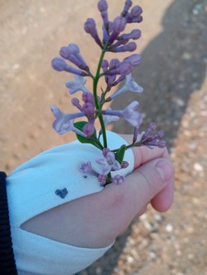 собираемся в гуамку