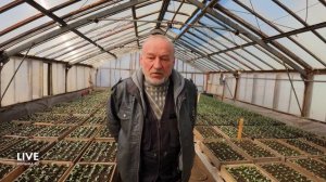 Специалисты участка "Растениеводство" КЗХ готовятся в летнему сезону высадки цветов