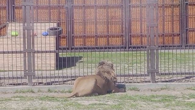 FPWH2667 Видео от Ивана