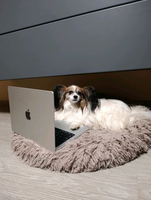 стрим что бы было