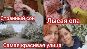 Моя еда теперь лекарство.#семьяизмариуполя