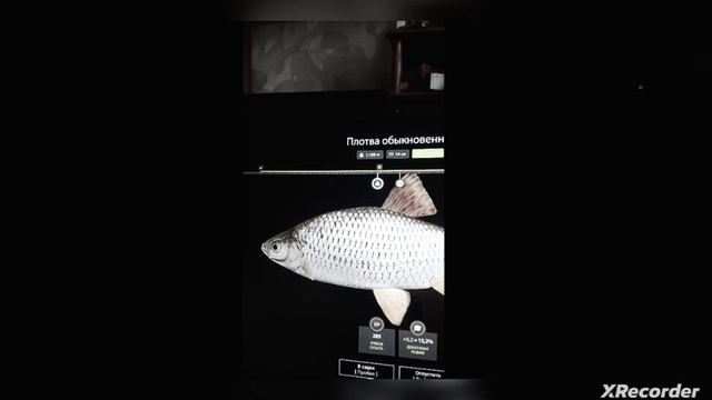 Думал большая рыба оказалось нет -_- (использую маленькие крючки,потом 12 уровень и буду большие исп