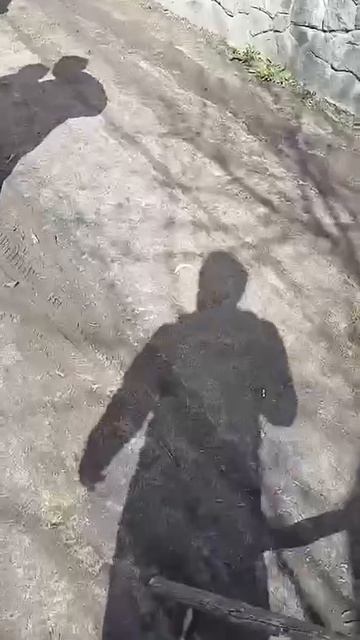 А вот мужчина на Харьковщине взял в руки вилы и сам выгнал людолова из собственного двора.