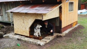 Построил Новый Домик для Хаски!