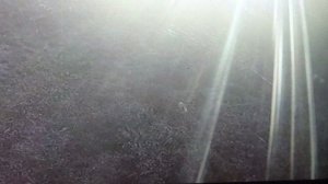 СОЛНЫШКО💥   УТРО 💥     ЛУЧИКИ💥  ПОДПИШИСЬ