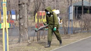 Клещи не пройдут: парки и скверы столицы Хакасии под защитой
