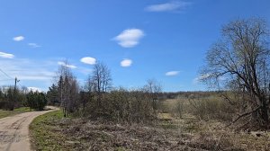 Бонус за уборку, удачный эксперимент и новая клумбочка