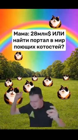 Я выберу счастье #юмор #котость #милота