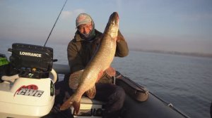 Осенние трофеи