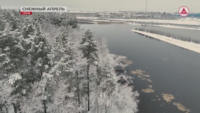 Урай под снежным покрывалом. 22-04-2026