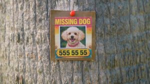 Nastya is helping her little friend find a super nanny