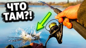 ТАКОГО на донки я не ожидал! Первая ночная рыбалка и РЕДКИЙ ТРОФЕЙ