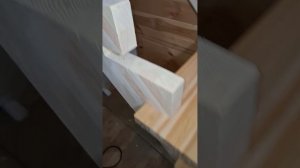 1000056761.mp4 (Собака наблюдает за устройством лестницы на 2-ой этаж в доме А-фрейм)