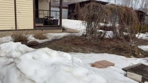 22  Апреля,Новосибирская область,ещё ооочень много снега 😱😱😱