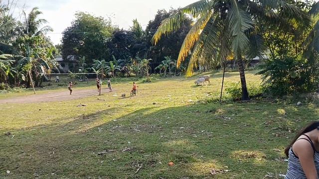 Нашли ещё одно прикольное местечко