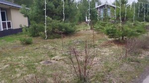 с тележкой через лес