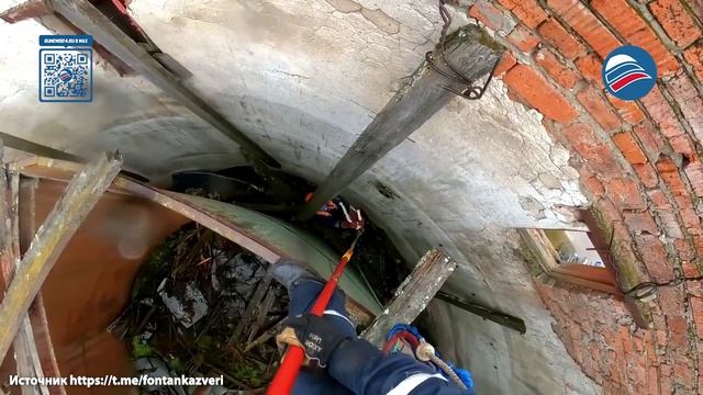 Волонтёры спасли кошку, запертую на 4 дня в водонапорной башне в Подмосковье