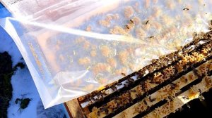 Ещё про расширение пчелиных семей!