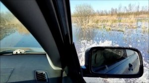 Весна! Полноводная весна!