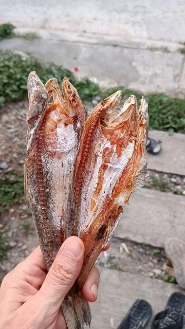 Сушёная рыба на Филиппинах #жизньнафилиппинах #семьявместе #филиппины