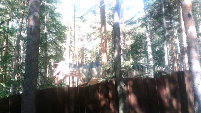 Бросай бухать! 2026