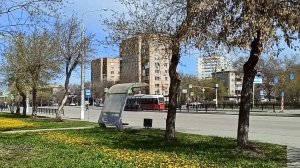 Магнитогорск, прогулка в квартальном секторе Правобережного района (22.04.2026)