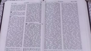 # День 169#  Пища для моего духа #  Псалтырь  гл. 118  (43-72) #