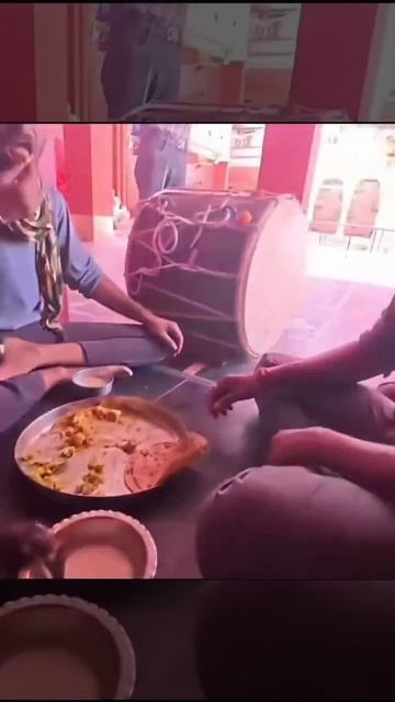 Крыса поела индийскую уличную еду.🤢🤢🤢