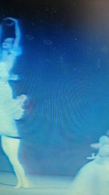 VID_20260422_115103.mp4