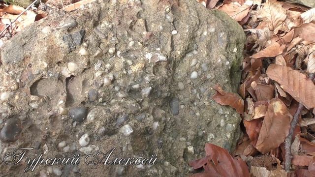 Лесо-Кяфарь 4 часть