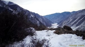 У Муси подрастают два сыночка и лапочка-дочка