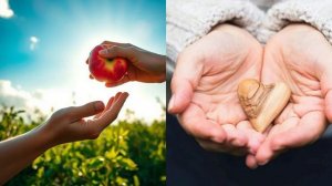 Щедрость в мозге: Почему отдавать приятнее, чем получать?