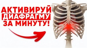 Боль между лопаток и головная боль? Виновата диафрагма! Исправляем за 3 этапа