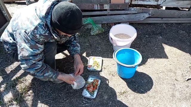 Получила новые растения для сада. Лучшее средство от муравьёв