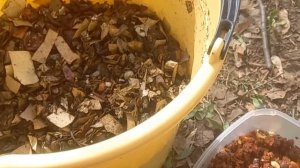 Введение компоста. Этап третий