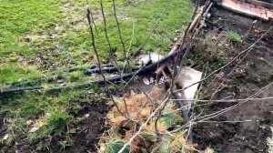 Участок 22 апреля