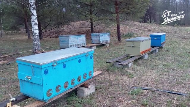 Подготовка пасеки к резкому похолоданию