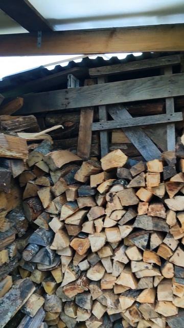 На траве дрова